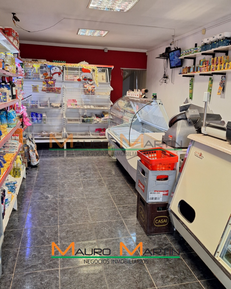 LOCAL + DEPARTAMENTO INTERNO DE 1 DORMITORIO+ GALPON, EN TOAY.