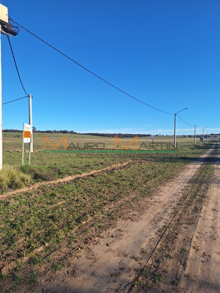 PARCELA DE UNA HECTAREA A LA VENTA