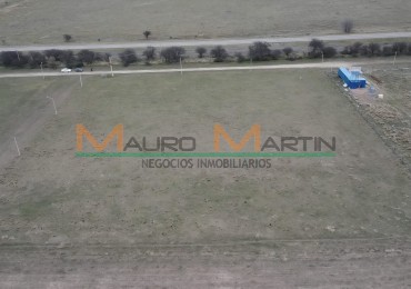 PARCELA DE UNA HECTAREA A LA VENTA