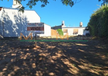 VENTA: TERRENO DE 244 M2 EN TOAY, BARRIO OLGA OROZCO